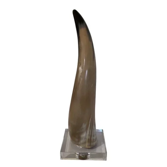 Natural Bull Cow Steer Horn Rustic Western Décor 16 Polished On Glass Base